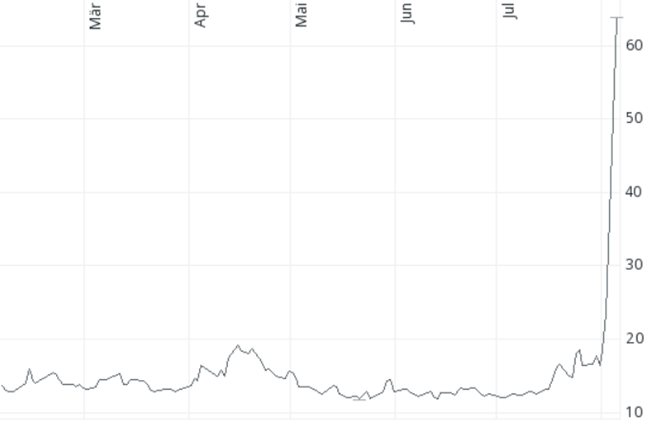 Volatilitätsindex VIX, 2/2024 bis 5.8.2024